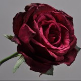 Rose pick Burgund 30 cm
